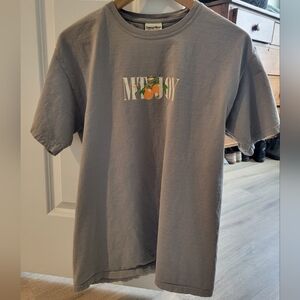 Mt Joy band T